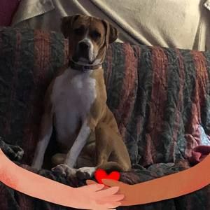 Meet your Posher, Tabitha